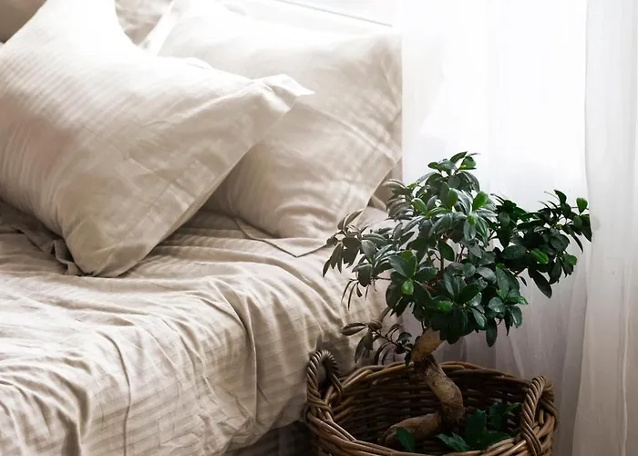 Dimore Del Capo With Pool Near The Sea *